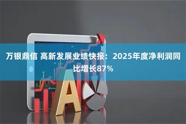 万银鼎信 高新发展业绩快报：2025年度净利润同比增长87%