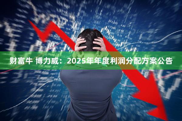 财富牛 博力威：2025年年度利润分配方案公告
