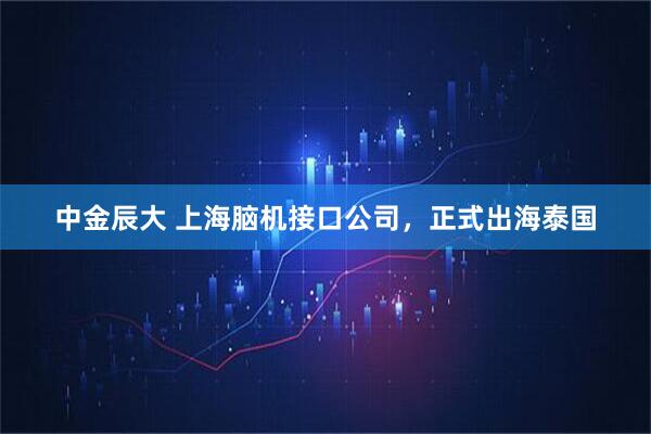 中金辰大 上海脑机接口公司，正式出海泰国